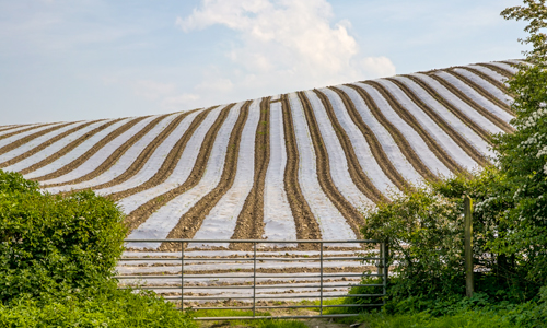 crop-protection-chemicals